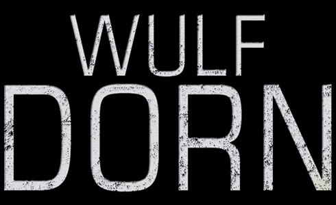 Wulf Dorn, Autor, Thriller