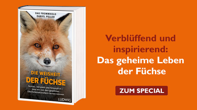 Special zum Buch "Die Weisheit der Füchse"
