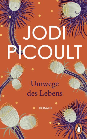 Umwege des Lebens von Jodi Picoult