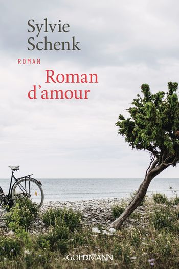 Roman d'amour von Sylvie Schenk