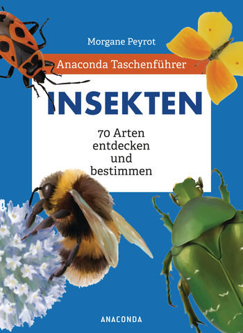 Anaconda Taschenführer Insekten. 70 Arten entdecken und bestimmen von Morgane Peyrot, Lise Herzog