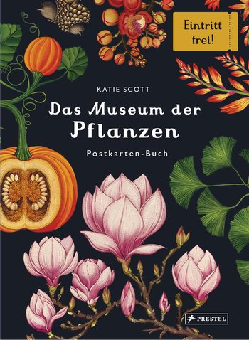 Das Museum der Pflanzen. Postkartenbuch von Katie Scott