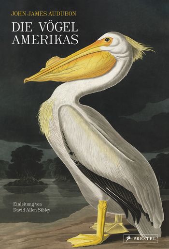 Die Vögel Amerikas von John James Audubon, David Allen Sibley
