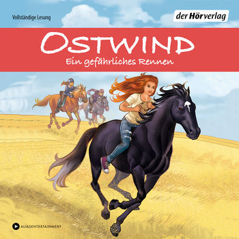 Ostwind - Ein gefährliches Rennen von Rosa Schwarz