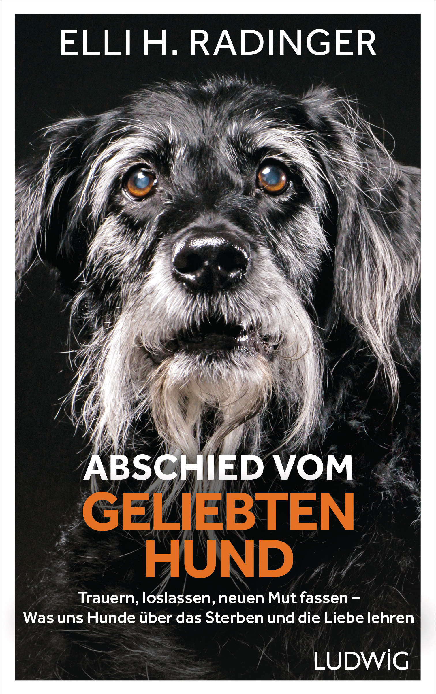 Elli Radinger: Abschied vom geliebten Hund - Buch Verlag